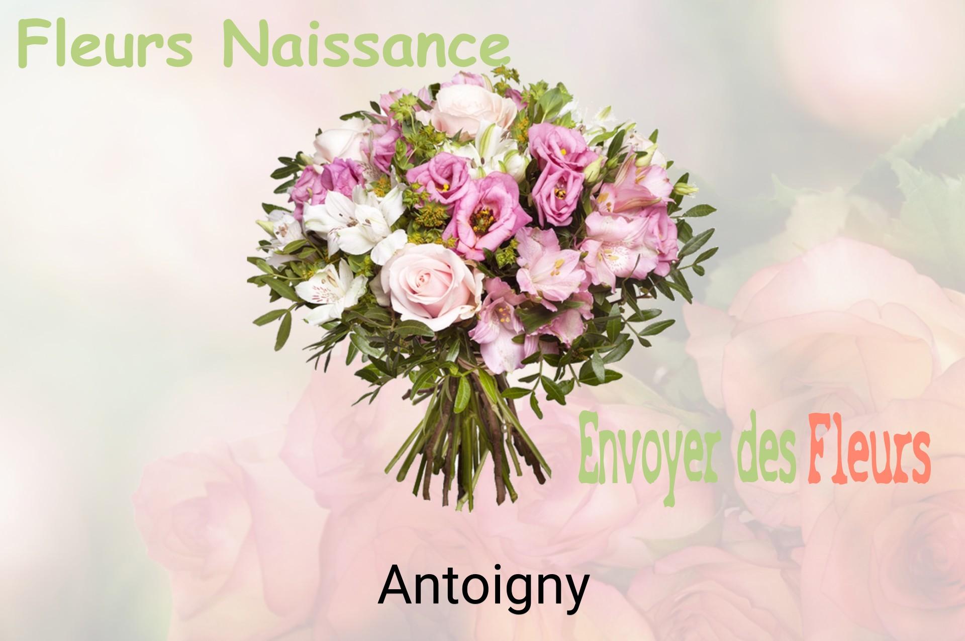 Bouquet de fleurs de naissance livré à Antoigny